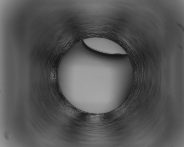 X0000094920134200711291031