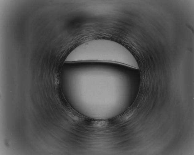 X0000094920135200711291031