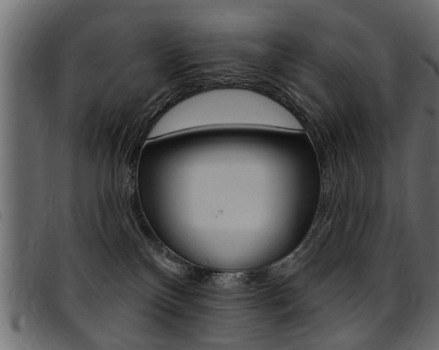 X0000094920136200711291031