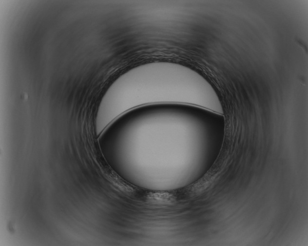 X0000094920137200711291031