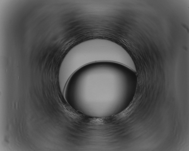 X0000094920140200711291031