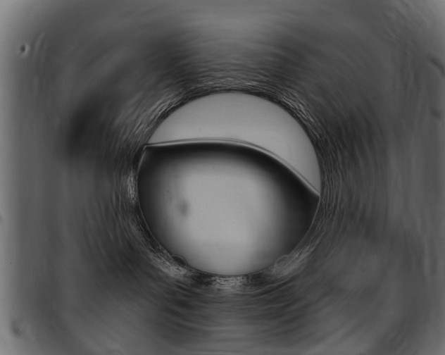 X0000094920143200711291031