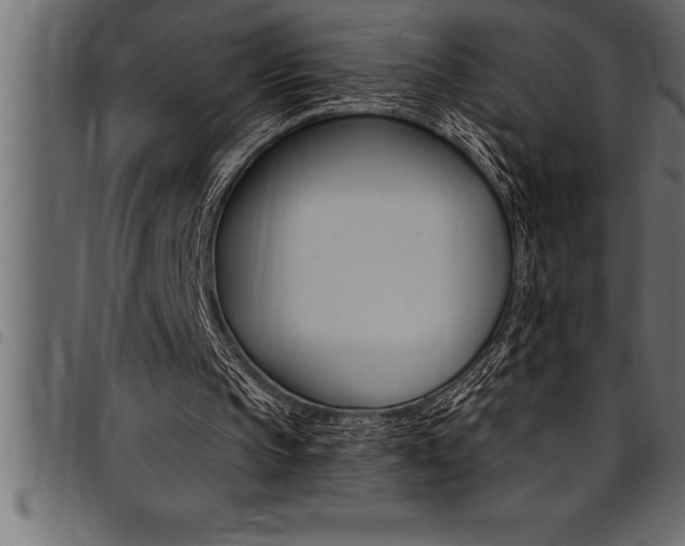 X0000094920145200711291030