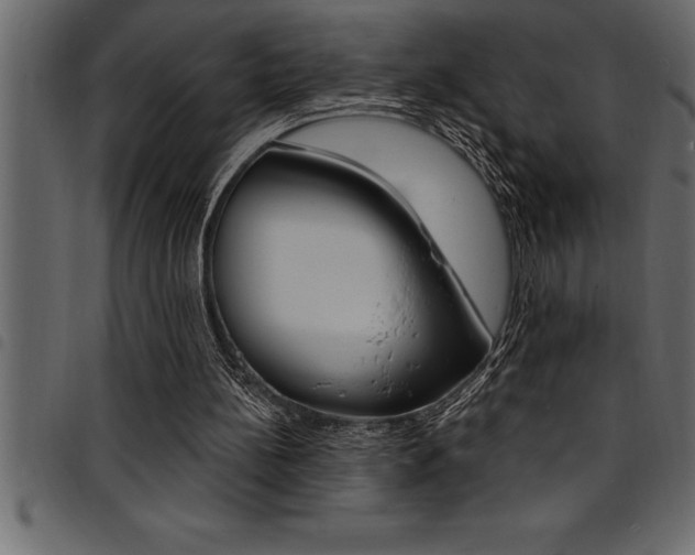 X0000094920148200711291031