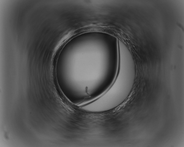 X0000094920150200711291031