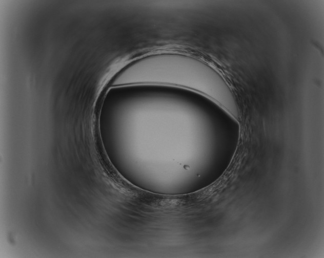 X0000094920152200711291031