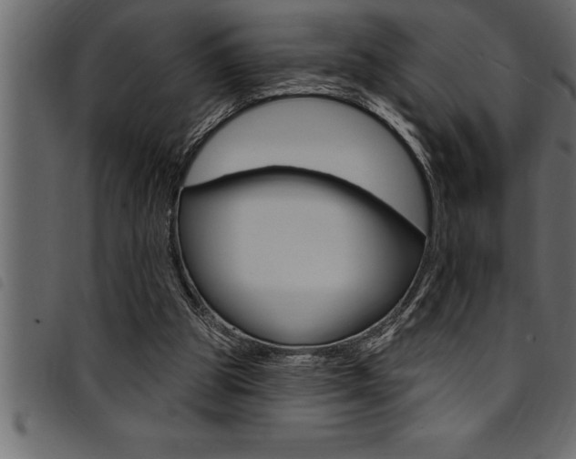 X0000094920153200711291031