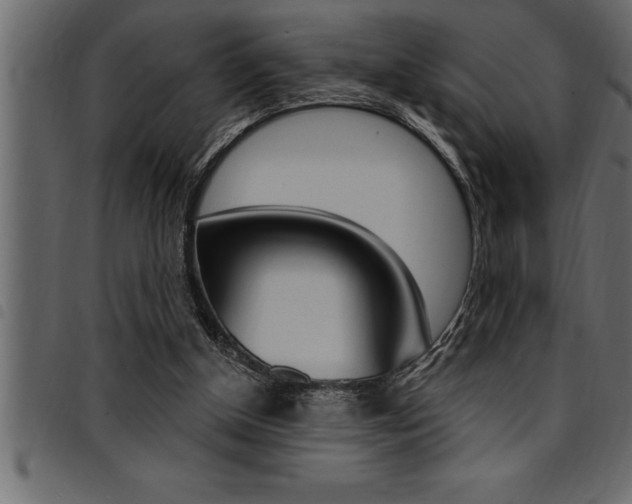 X0000094920154200711291031