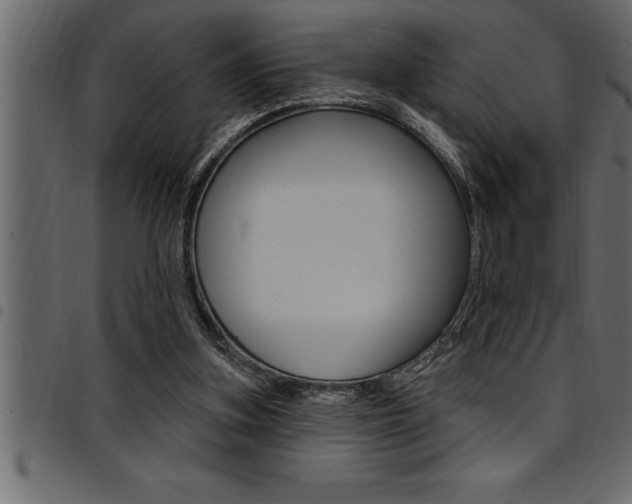 X0000094920155200711291031