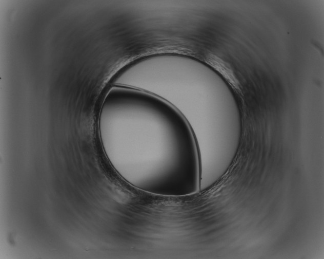 X0000094920156200711291031