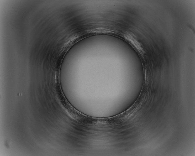 X0000094920157200711291031