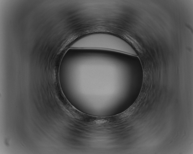 X0000094920158200711291031