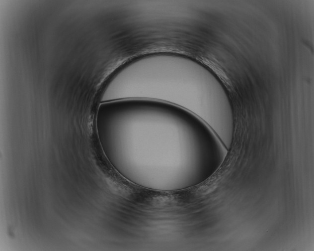 X0000094920160200711291031