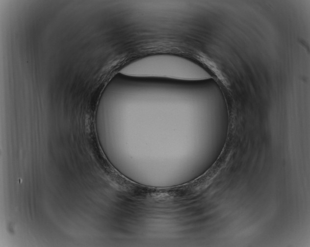 X0000094920161200711291031