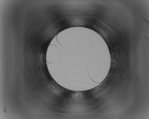 X0000094920162200711291031