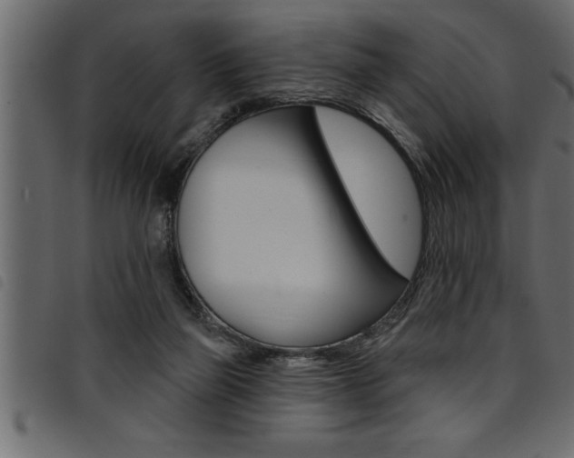 X0000094920165200711291031
