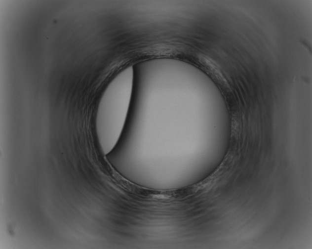 X0000094920167200711291031
