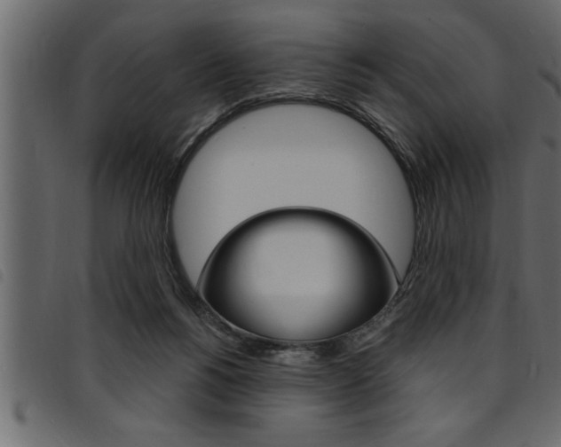 X0000094920168200711291031