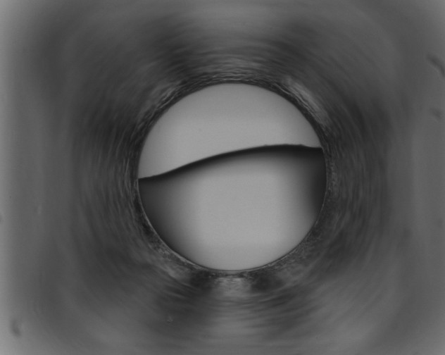 X0000094920169200711291031
