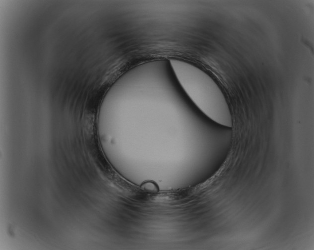 X0000094920171200711291031