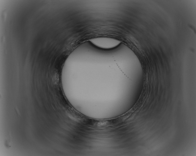 X0000094920173200711291031