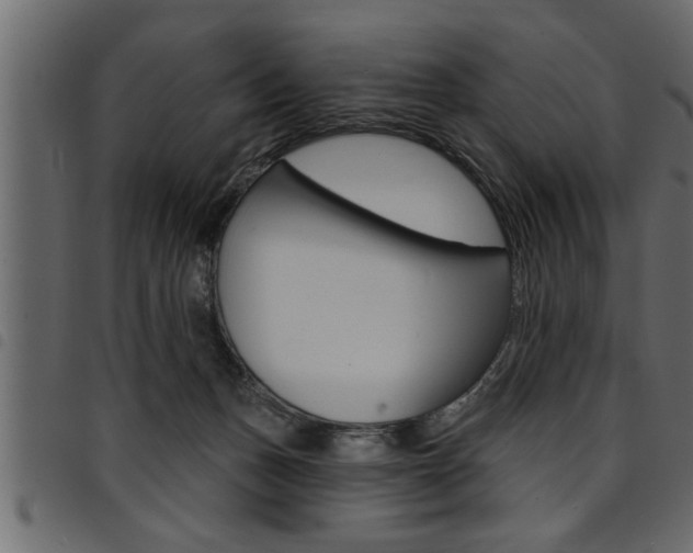 X0000094920175200711291031