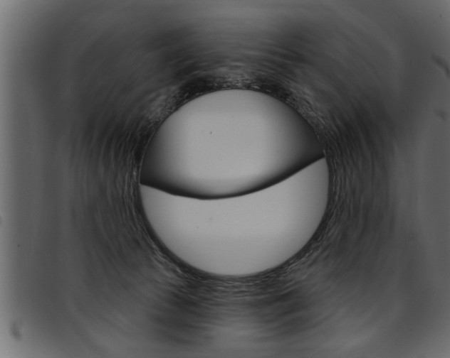 X0000094920177200711291031