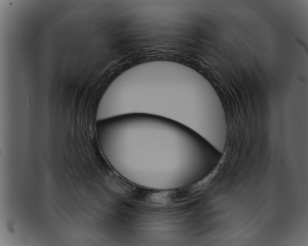X0000094920178200711291031