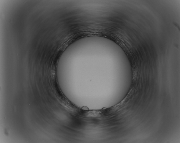 X0000094920179200711291031