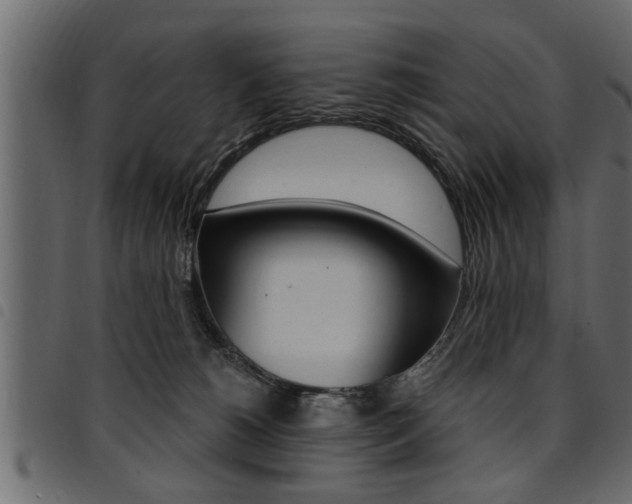 X0000094920180200711291031