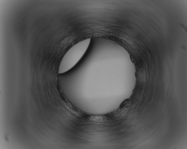 X0000094920181200711291031