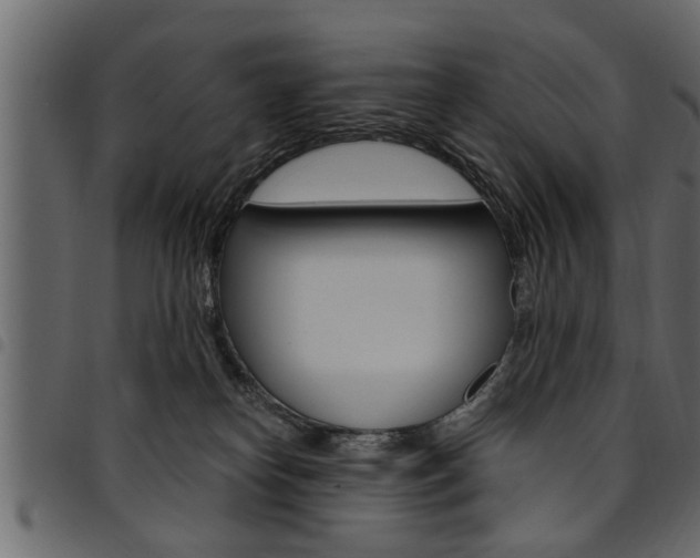 X0000094920182200711291031