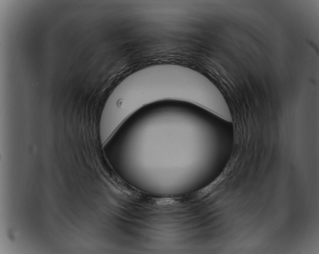 X0000094920183200711291031