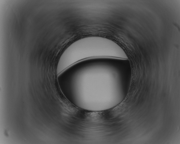 X0000094920184200711291031