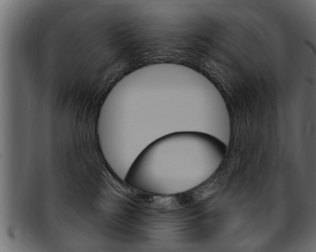 X0000094920185200711291031