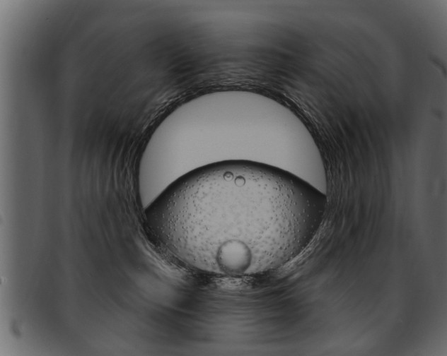X0000094920187200711291031