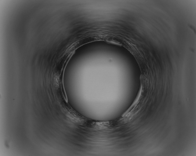 X0000094920188200711291031