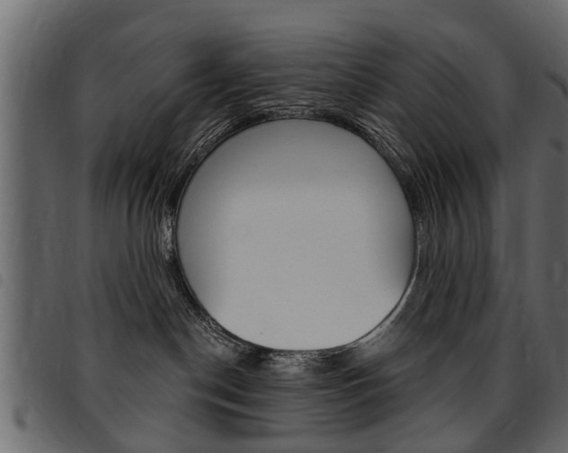 X0000094920190200711291031