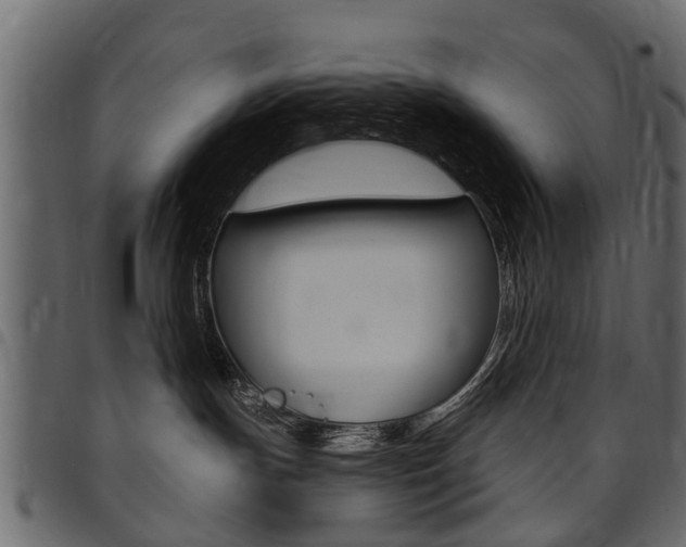 X0000094920191200711291031