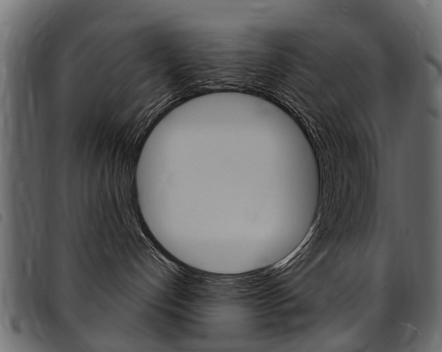 X0000094920192200711291031