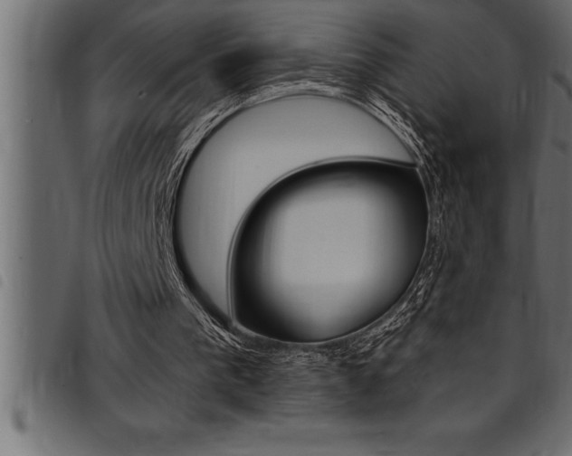 X0000094920193200711291030