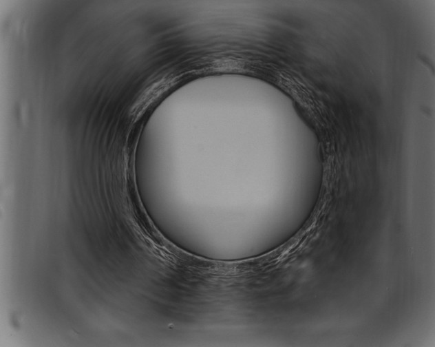 X0000094920194200711291030