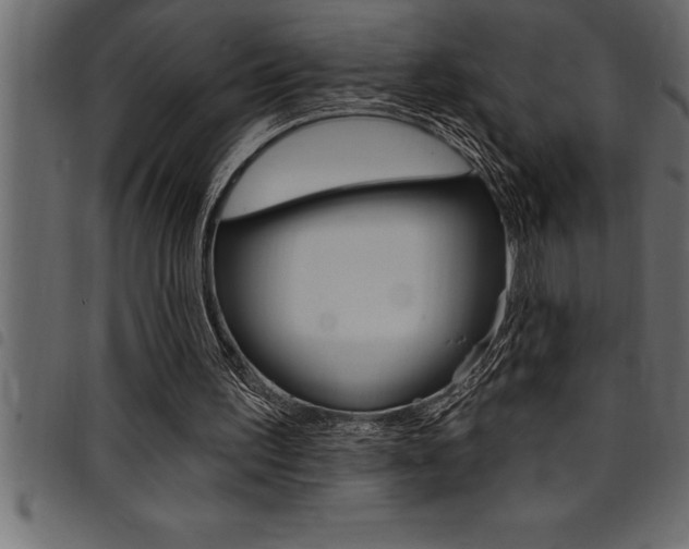X0000094920195200711291030