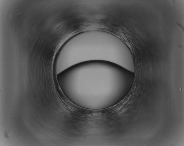 X0000094920196200711291030