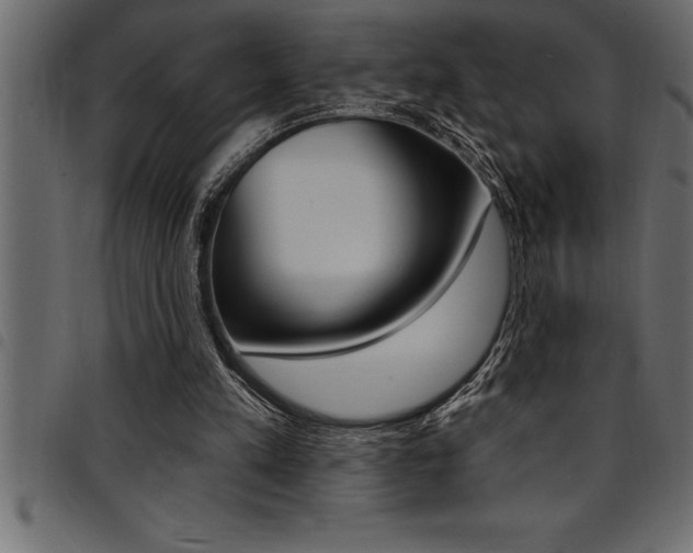 X0000094920197200711291030