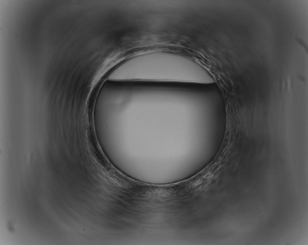 X0000094920198200711291030