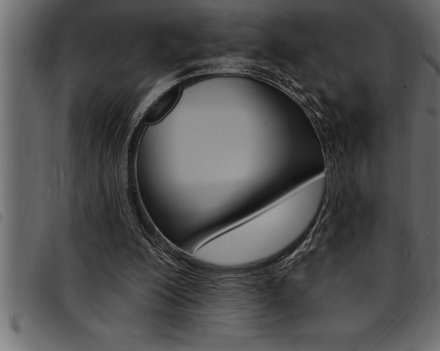 X0000094920200200711291030