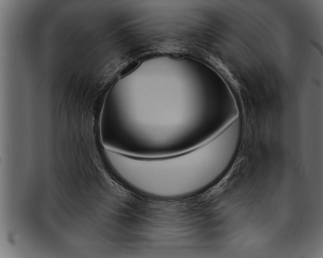 X0000094920201200711291030