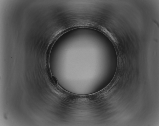 X0000094920203200711291030