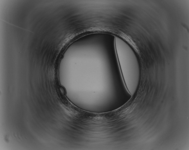 X0000094920204200711291030